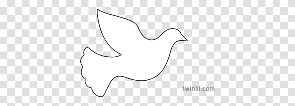 Dove Template Illustration Twinkl Line Art, Axe, Tool, Symbol, Leisure Activities Transparent Png