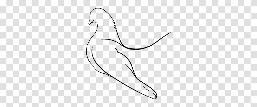 Dove Vector, Gray, World Of Warcraft Transparent Png