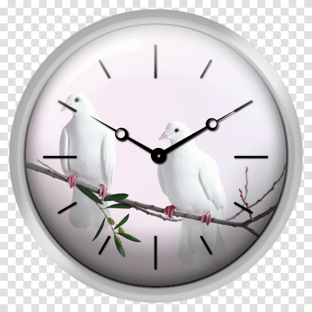 Dove With Olive Branch, Analog Clock, Clock Tower, Architecture, Building Transparent Png