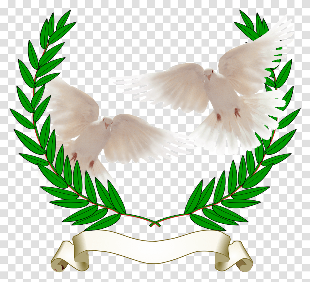 Dove With Olive Branch, Bird, Animal, Pigeon Transparent Png