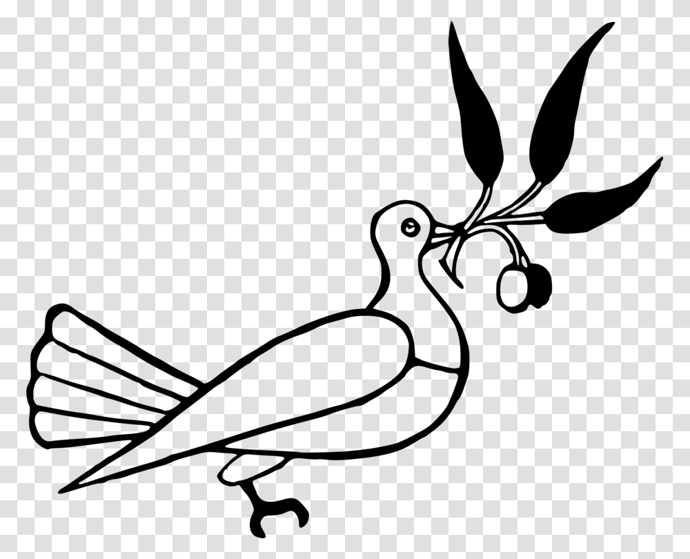 Dove With Olive Branch, Gray, World Of Warcraft Transparent Png