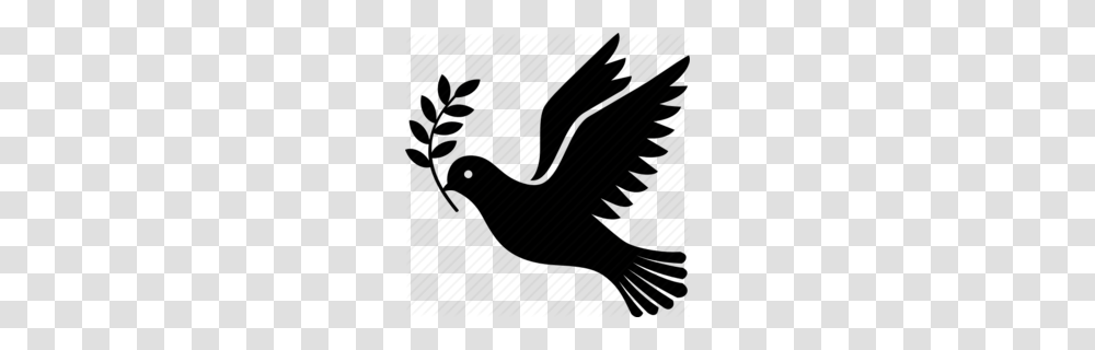 Dove With Olive Branch Headstone Clipart, Eagle, Bird, Animal, Piano Transparent Png