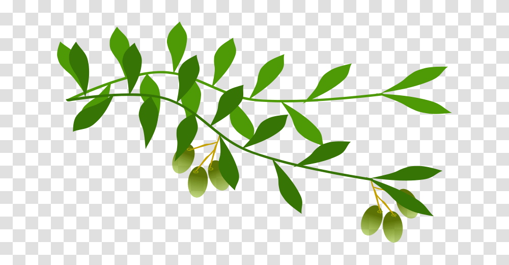 Dove With Olive Leaf Clip Art, Green, Plant, Potted Plant, Vase Transparent Png