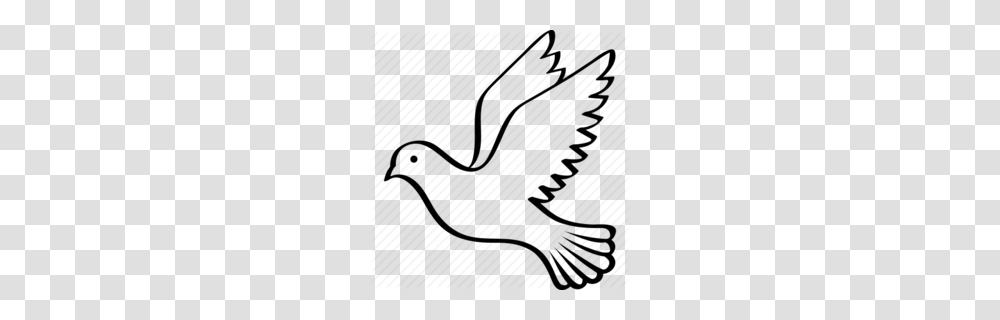 Doves As Symbols Clipart, Animal, Bird, Rug, Wildlife Transparent Png