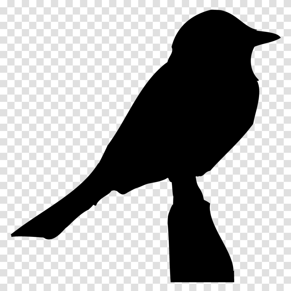Doves Browse, Silhouette, Crow, Bird, Animal Transparent Png