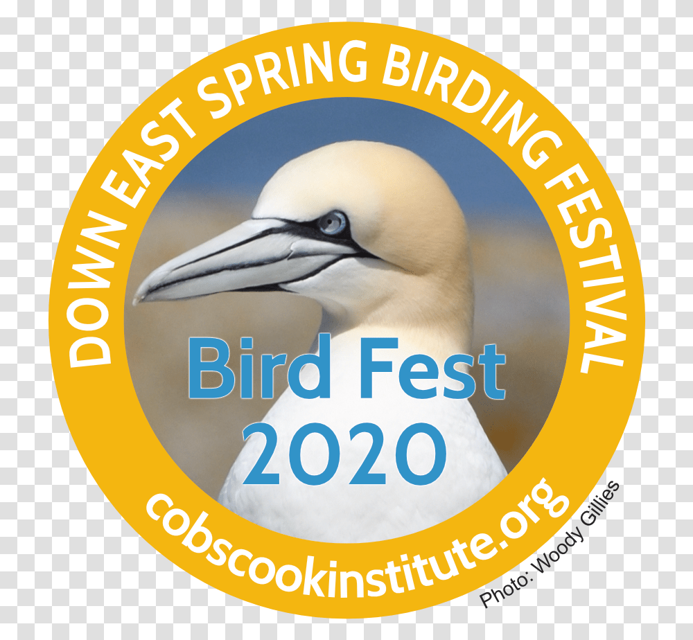 Down East Spring Birding Festival Confucius Institute, Animal, Logo, Symbol, Trademark Transparent Png