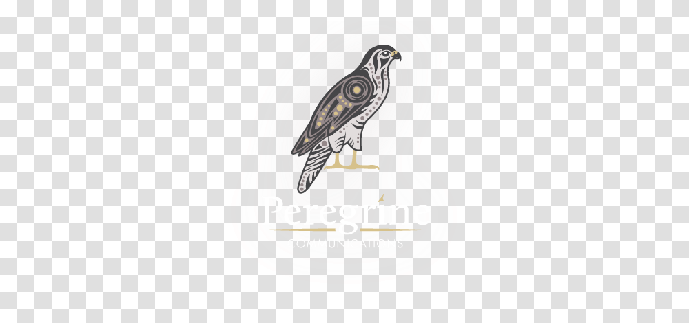 Down Facebook Jb Systems Logo Peregrine Falcon Falcon Hawk, Bird, Animal, Kite Bird, Buzzard Transparent Png