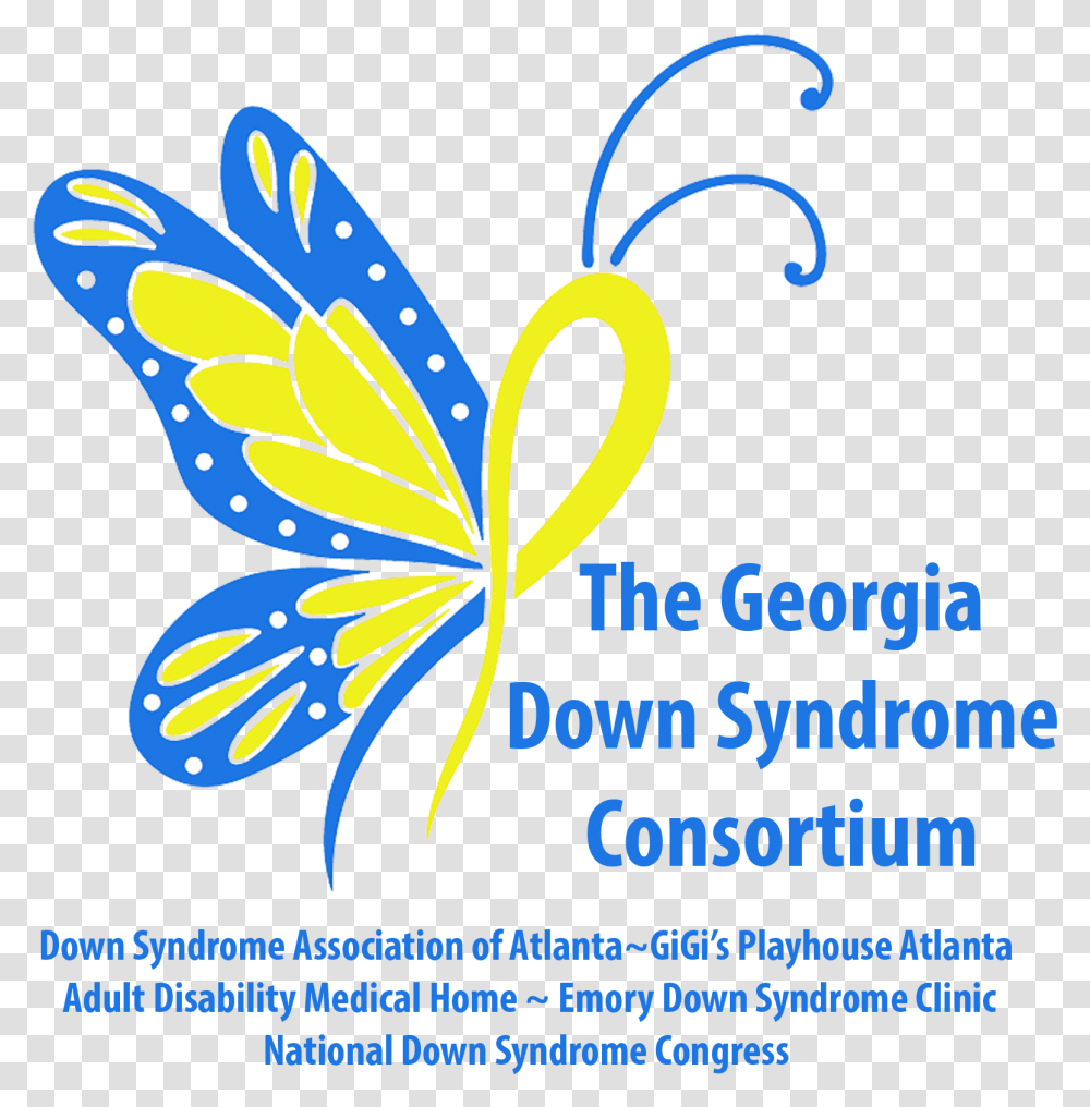 Down Syndrome Awareness Butterfly, Insect, Invertebrate, Animal Transparent Png