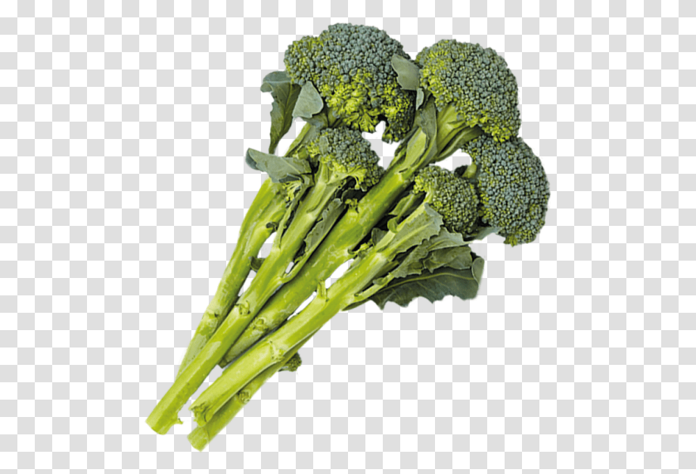 Download 1 Cup Broccolini, Plant, Vegetable, Food, Banana Transparent Png