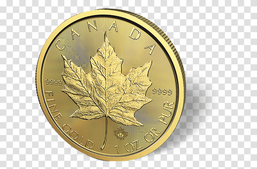 Download 1 Oz Canadian Gold Maple Leaf Coins Canadian Gold Solid, Plant, Money, Clock Tower, Architecture Transparent Png