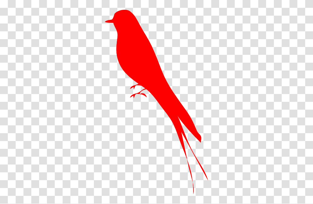 Download 1 Red Bird Clipart Image Red Bird Silhouette, Logo, Symbol, Animal, Hummingbird Transparent Png