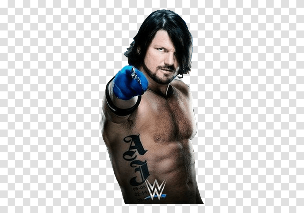Download 1 Reply 0 Retweets Likes Wwe Champion Render Aj Wwe 2k15, Skin, Person, Human, Sport Transparent Png