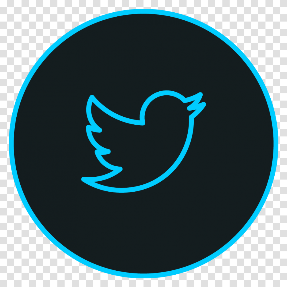 Download 1024 In Twitter Bird Twitter Icon Twitter Logo Gray, Symbol, Moon, Outdoors, Nature Transparent Png