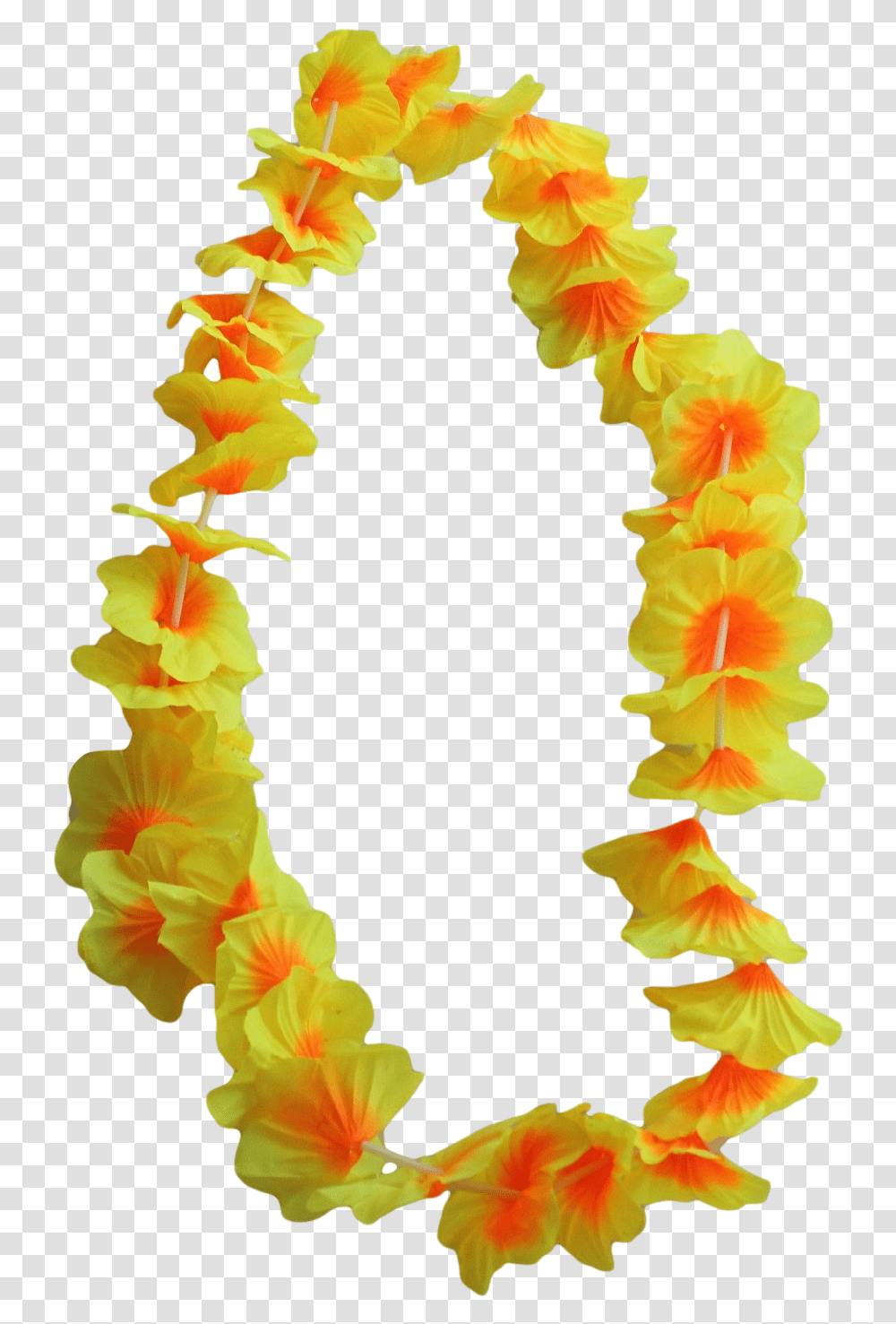 Download 12 X Hawaiian Flower Leis Hawaiian Leis, Plant, Blossom, Flower Arrangement, Ornament Transparent Png
