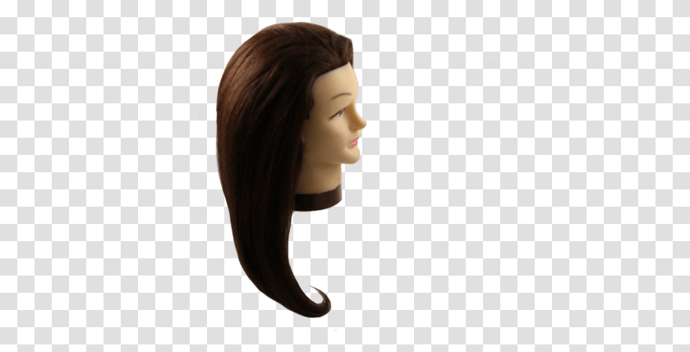 Download 24 Brunette Mannequin Head Head Full Size Hair Design, Person, Human, Wig Transparent Png