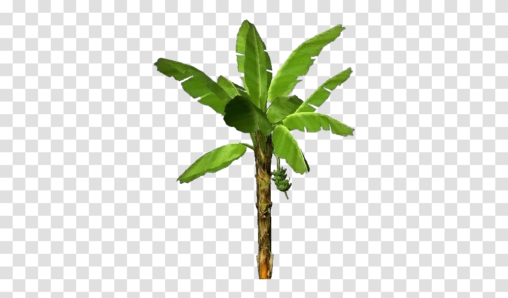 Download 3d Banana Trees Banana Tree, Leaf, Plant, Bamboo Transparent Png