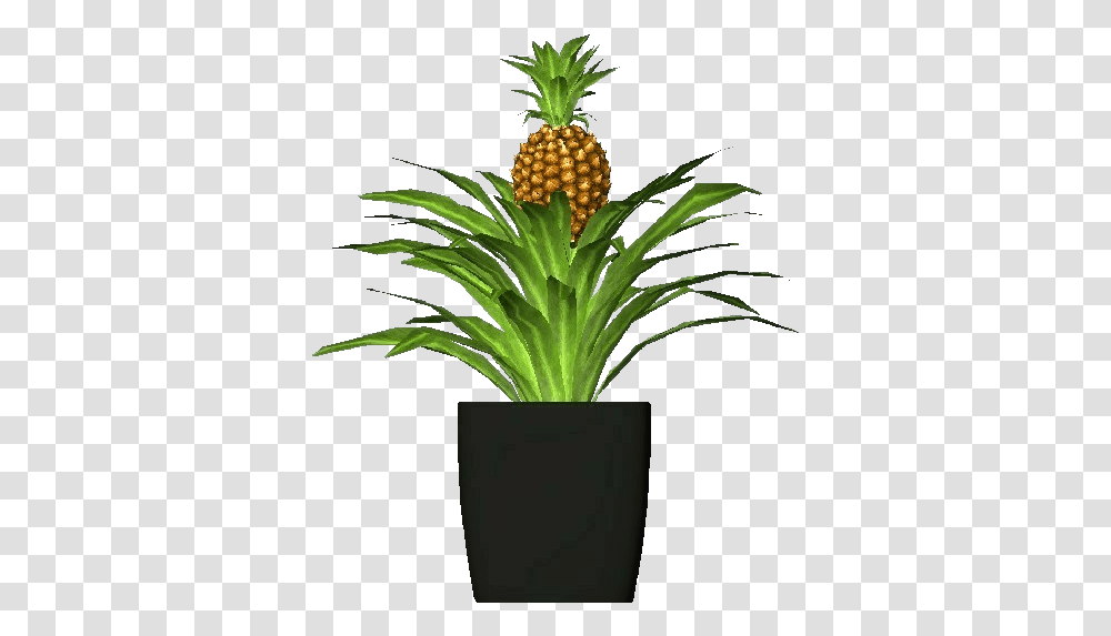 Download 3d Flowers Ananas, Plant, Pineapple, Fruit, Food Transparent Png
