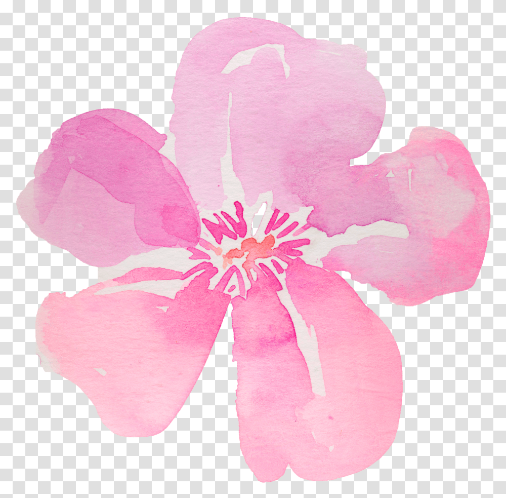 Download 5 Flowers Hibiscus Watercolor Full Size 5 Petal Flower Watercolor Transparent Png