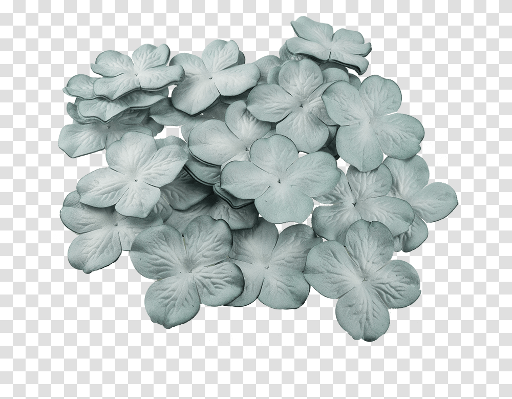 Download 50 2 Artificial Flower, Geranium, Plant, Blossom, Petal Transparent Png