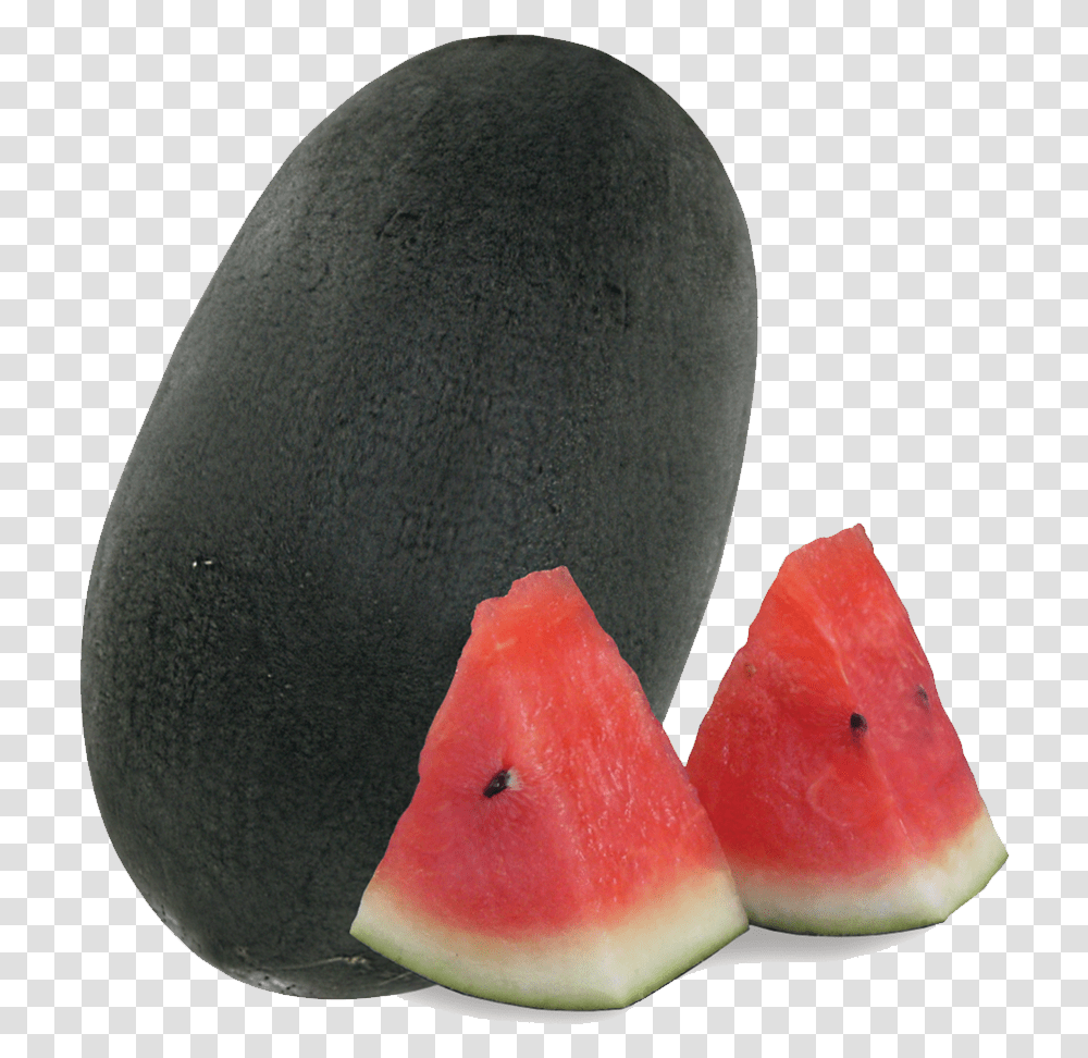 Download 7755 King Black Gold Watermelon Full Size Black Watermelon, Plant, Food, Fruit Transparent Png