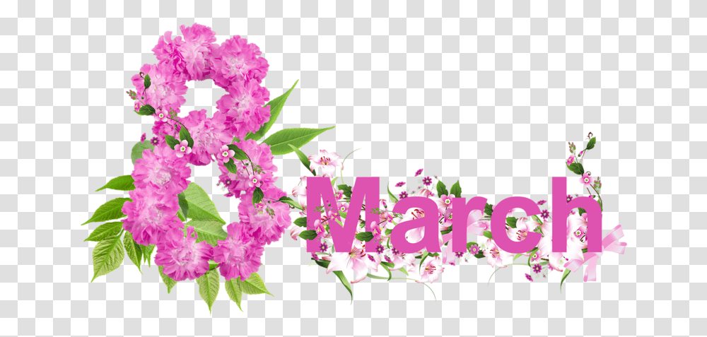 Download 8 March File Day Happy Day, Plant, Flower, Blossom, Petal Transparent Png