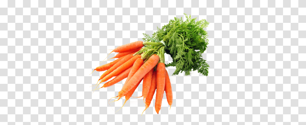 Download 8 Months Ago 1169 121 Carrots, Plant, Vegetable, Food, Produce Transparent Png