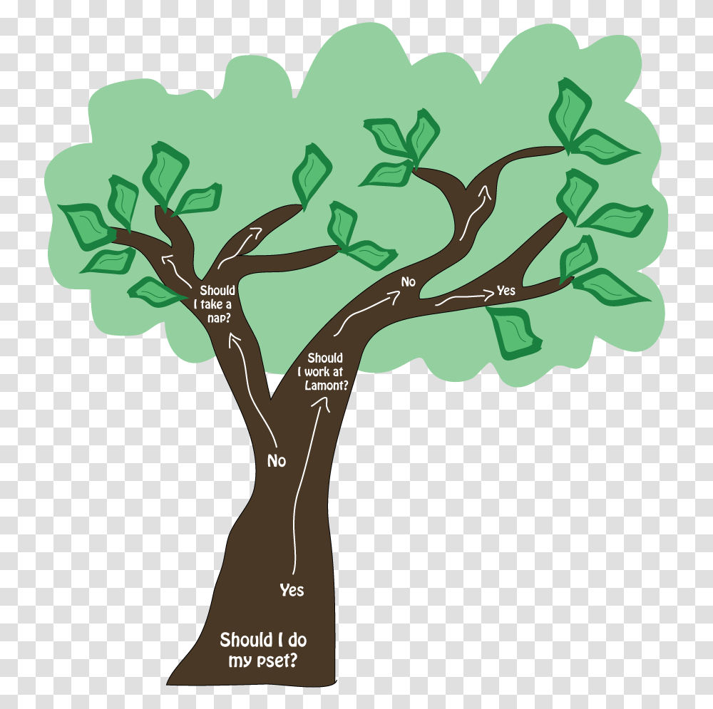 Download A Decision Tree Much Lower Tech Means Of Studying Mexican Pinyon, Plant, Green, Accessories, Accessory Transparent Png