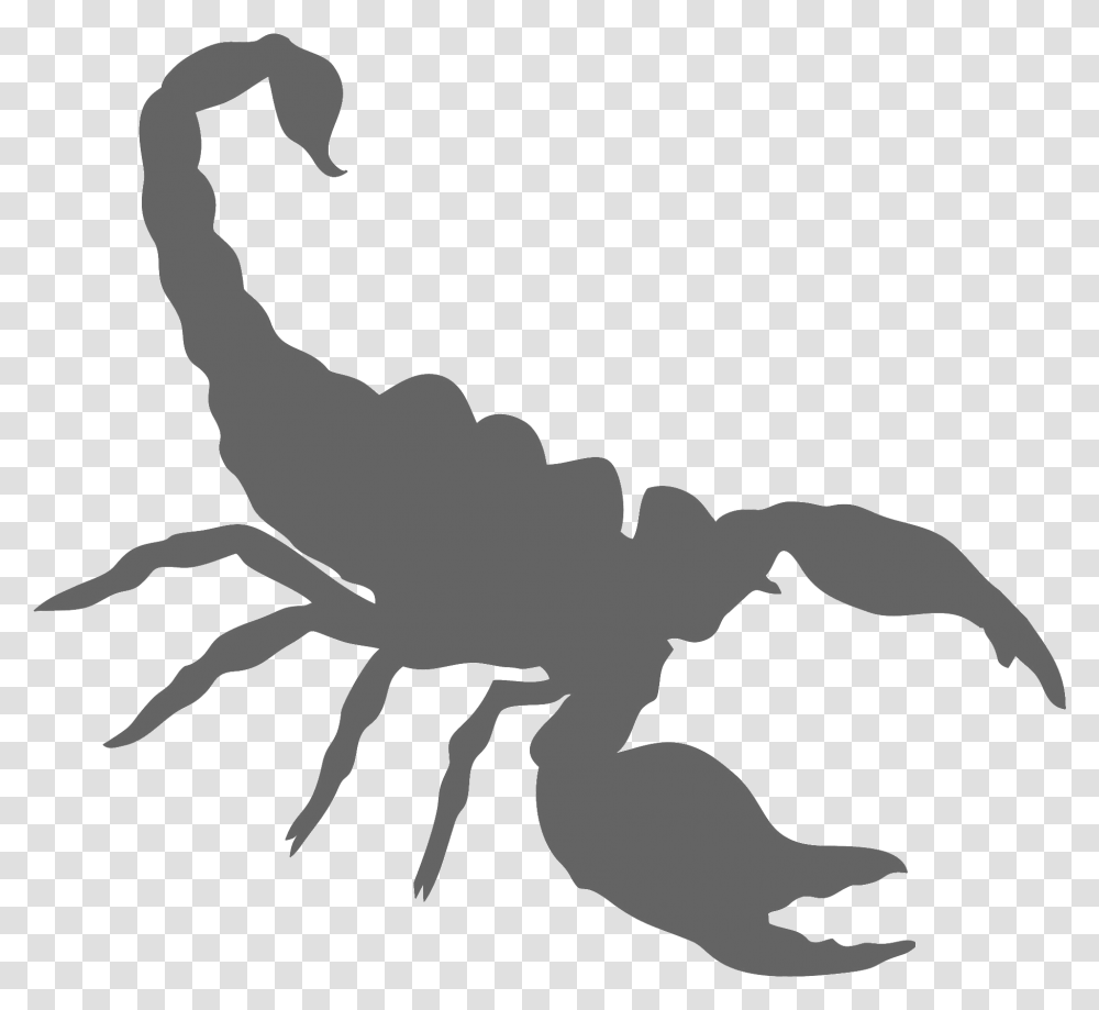 Download A3 Scorpion Scorpion, Animal, Invertebrate, Person, Human Transparent Png