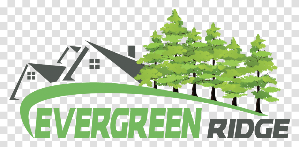 Download About Evergreen Ridge Estates Christmas Tree Christmas Tree, Plant, Vegetation, Text, Nature Transparent Png