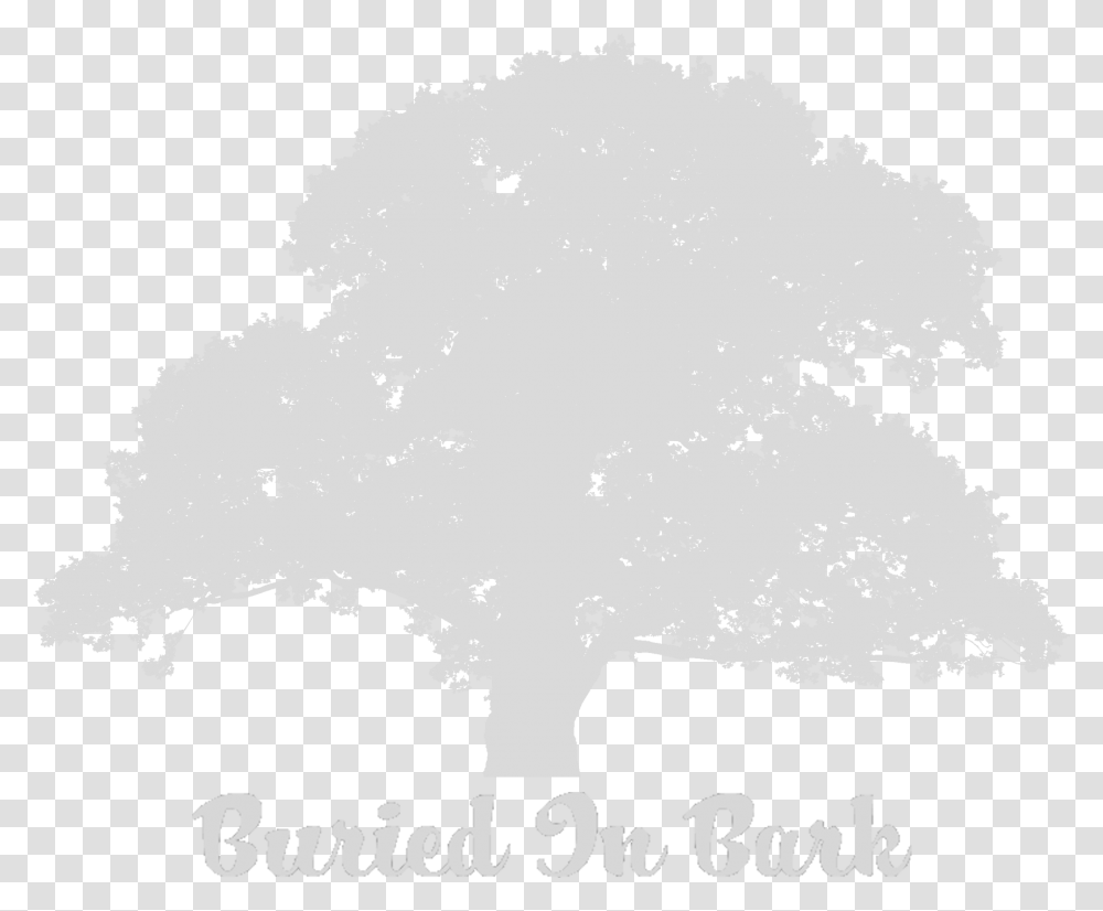 Download About Old Oak Tree Silhouette Image With No Illustration, Plant, Text, Nature, Outdoors Transparent Png