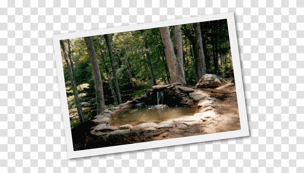 Download Adding Fish Ponds And Water Gardens New Hampshire Pond, Nature, Outdoors, Land, Wilderness Transparent Png