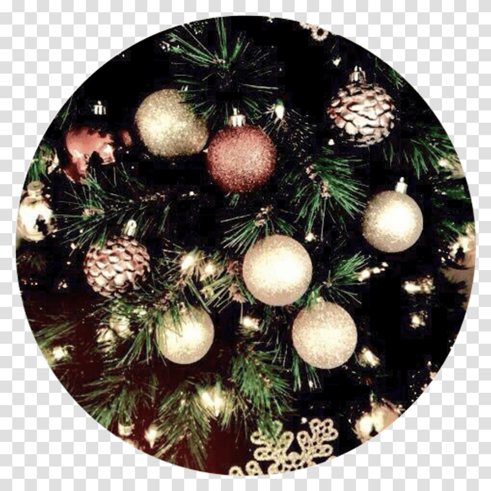 Download Aesthetic Background Christmas Christmas Time, Tree, Plant, Ornament, Christmas Tree Transparent Png