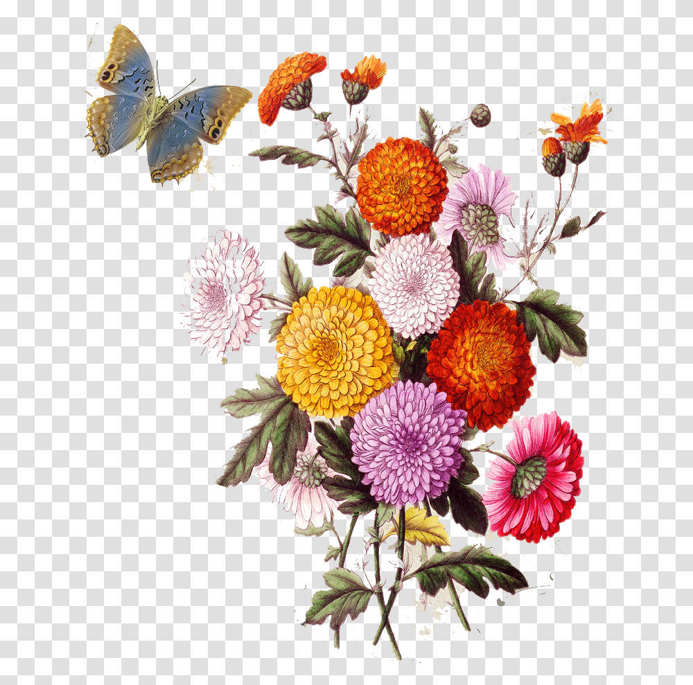 Download Aesthetic Flowers Clipart Free Retro Vintage Aesthetic, Floral Design, Pattern, Graphics, Plant Transparent Png