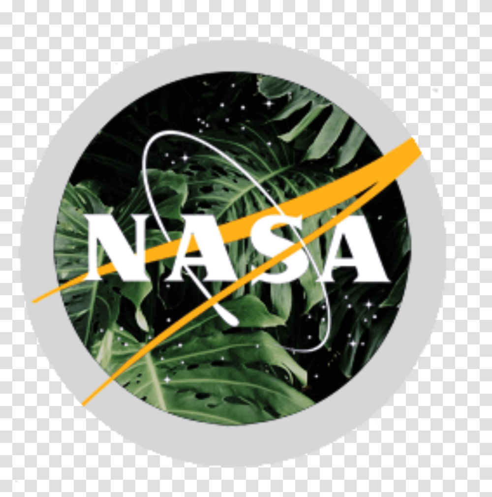 Download Aesthetic Nasa Logo Black And White Nasa Logo, Plant, Tree, Outdoors, Vegetation Transparent Png