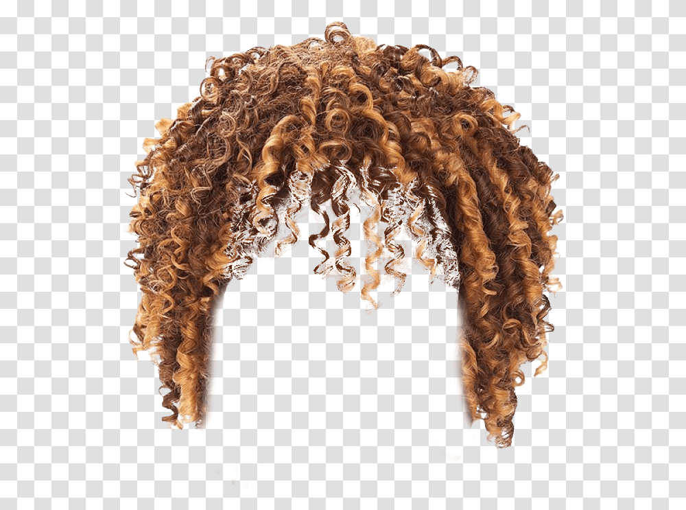 Download Afro Hair Free Image And Clipart Curly Hair Background, Wig Transparent Png
