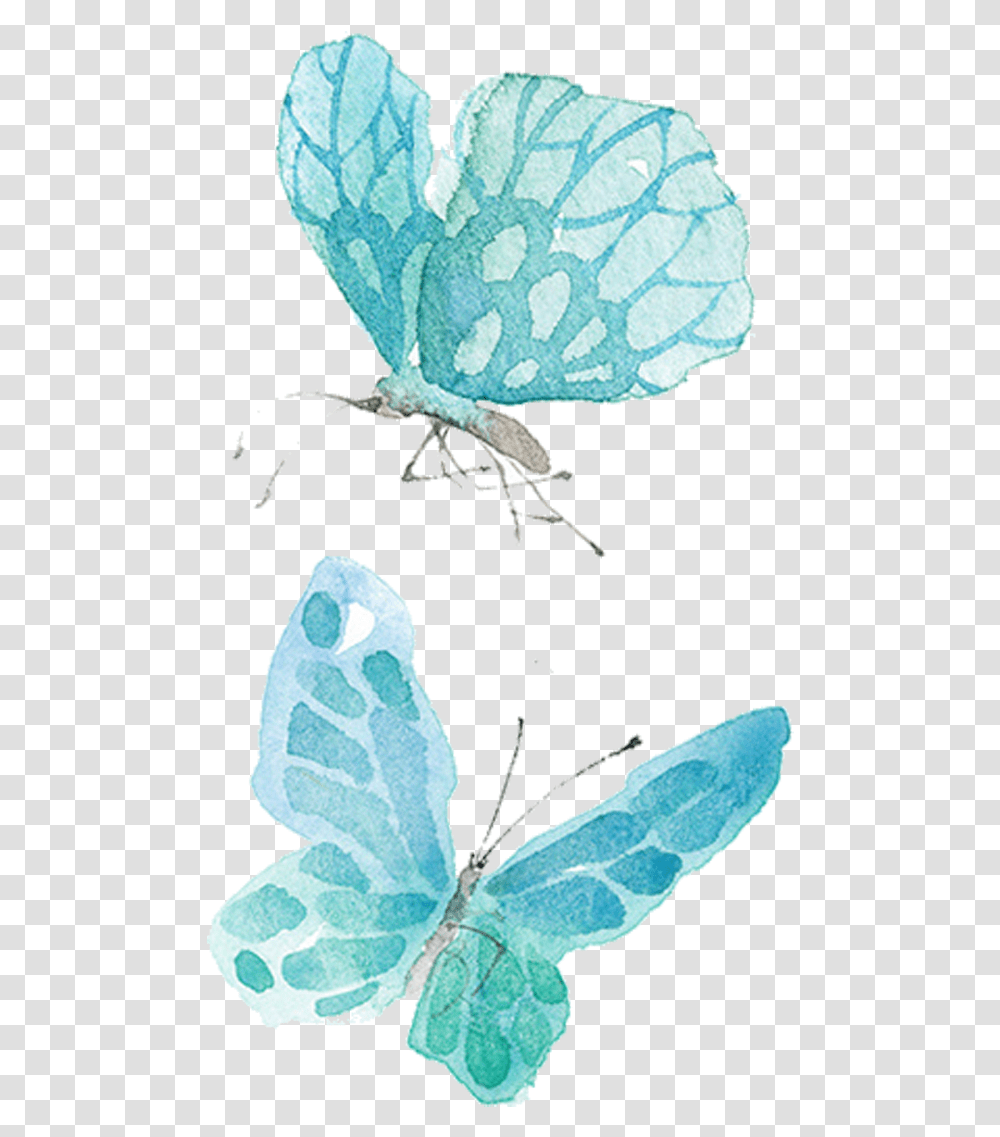Download Ai Vector Watercolor Butterfly Blue Butterfly Watercolour, Insect, Invertebrate, Animal, Moth Transparent Png