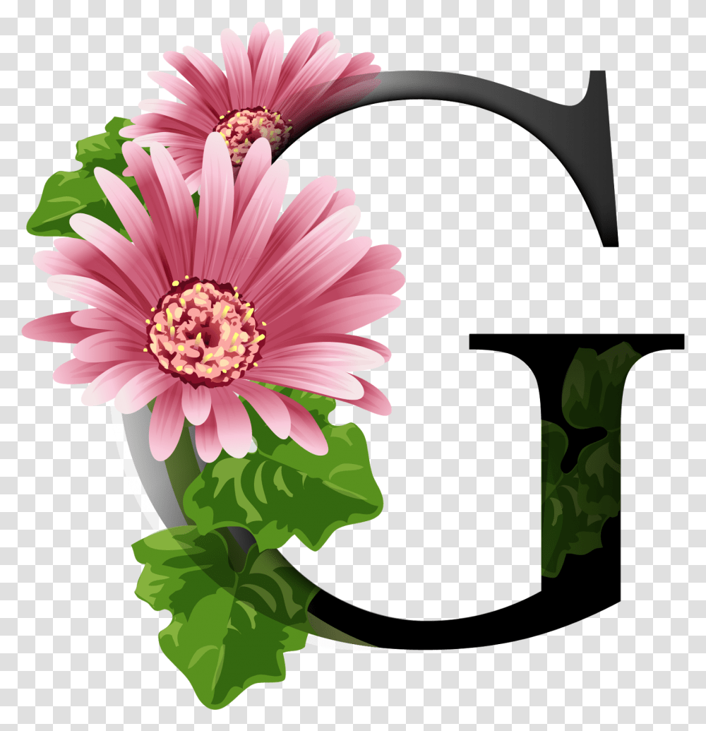 Download Alfabeto Decorativo Flores Dignity Of People, Plant, Daisy, Flower, Daisies Transparent Png