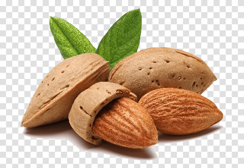 Download Almond File Almond, Plant, Nut, Vegetable, Food Transparent Png