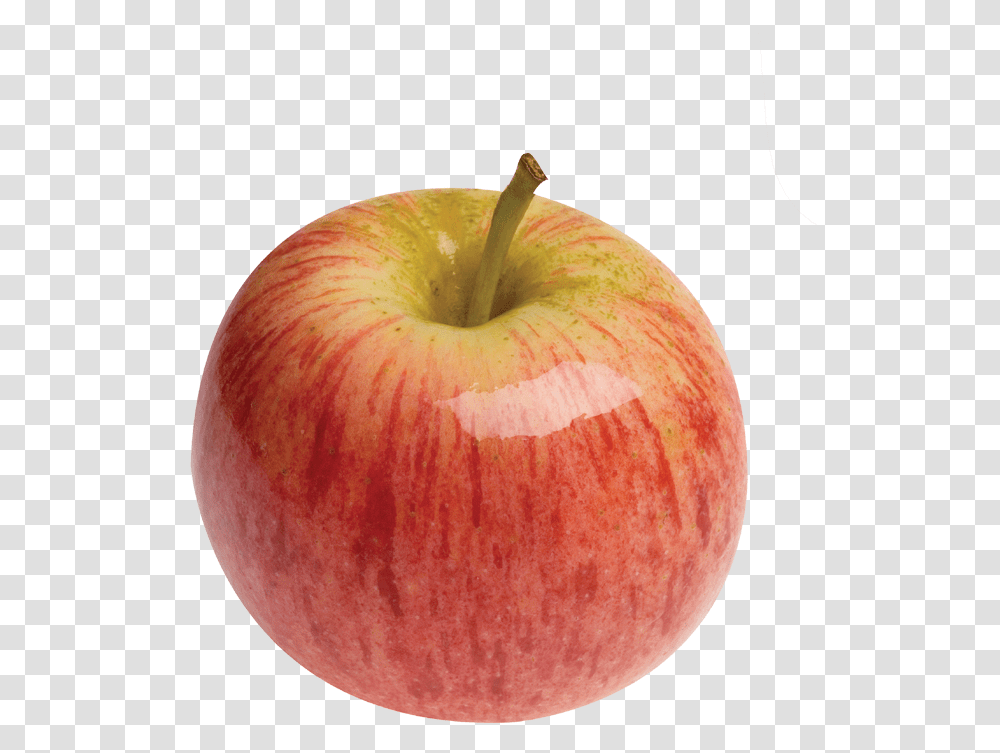 Download An Apple 