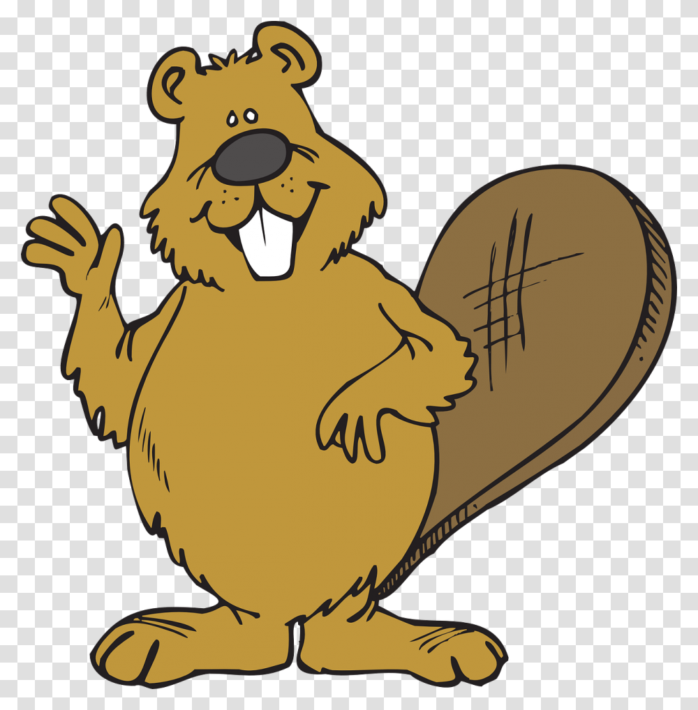 Download And Use Beaver Image Clipart Beaver, Animal, Mammal, Wildlife, Rodent Transparent Png