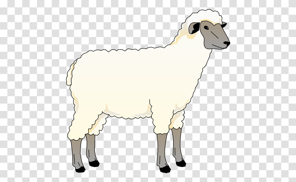 Download And Use Sheep Clipart Animated Picture Of Sheep, Mammal, Animal, Goat, Mountain Goat Transparent Png