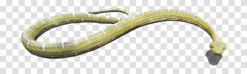 Download And Use Snake Clipart Grass Snake, Reptile, Animal, Green Snake Transparent Png