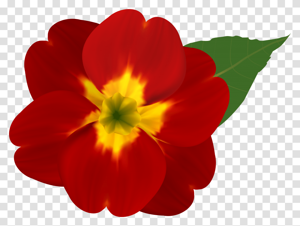 Download And Yellow Flower Image Red Flower Free, Plant, Blossom, Petal, Rose Transparent Png