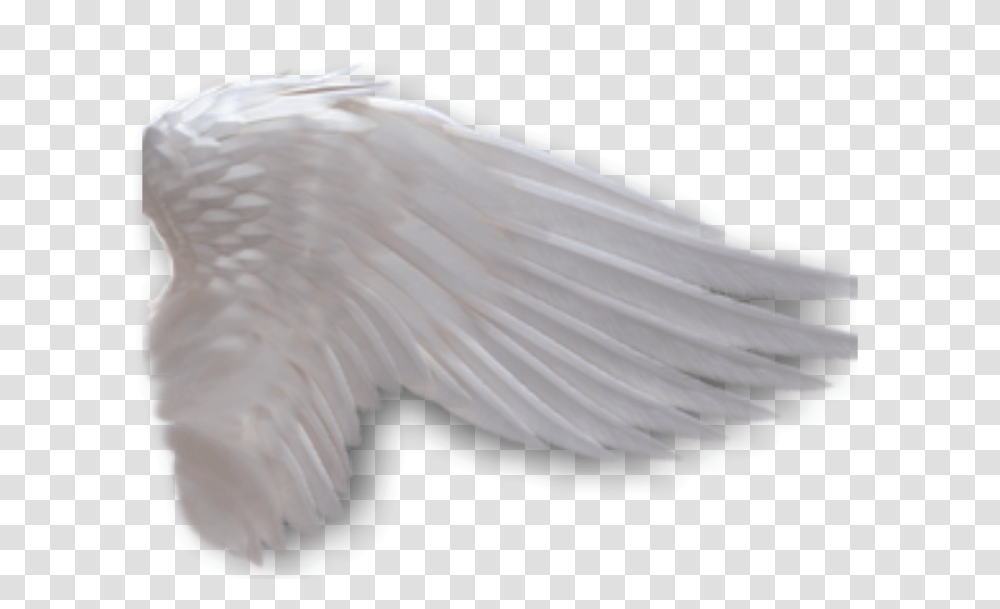 Download Angel Wings Anime Side View Angel Wings Side View Angel Wing Background, Bird, Animal, Dove, Pigeon Transparent Png