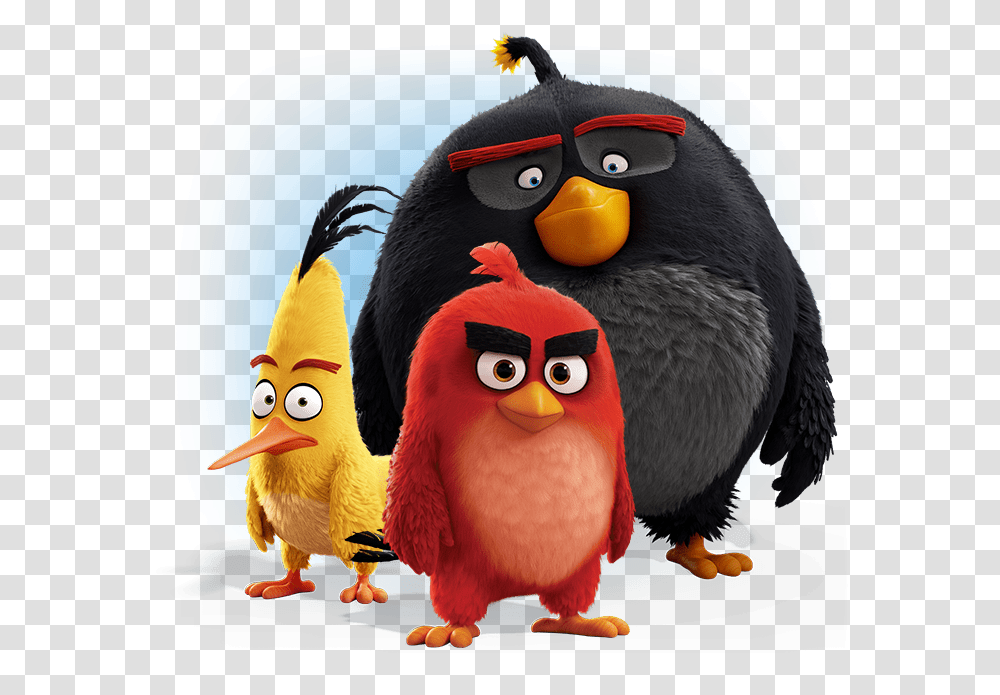 Download Angry Birds Image For Free Angry Birds Movie Bomb, Animal Transparent Png