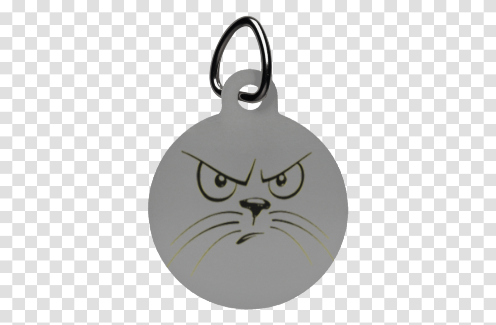Download Angry Cat Circle Pet Tag Pet Tag Image With Cat, Snowman, Winter, Outdoors, Nature Transparent Png
