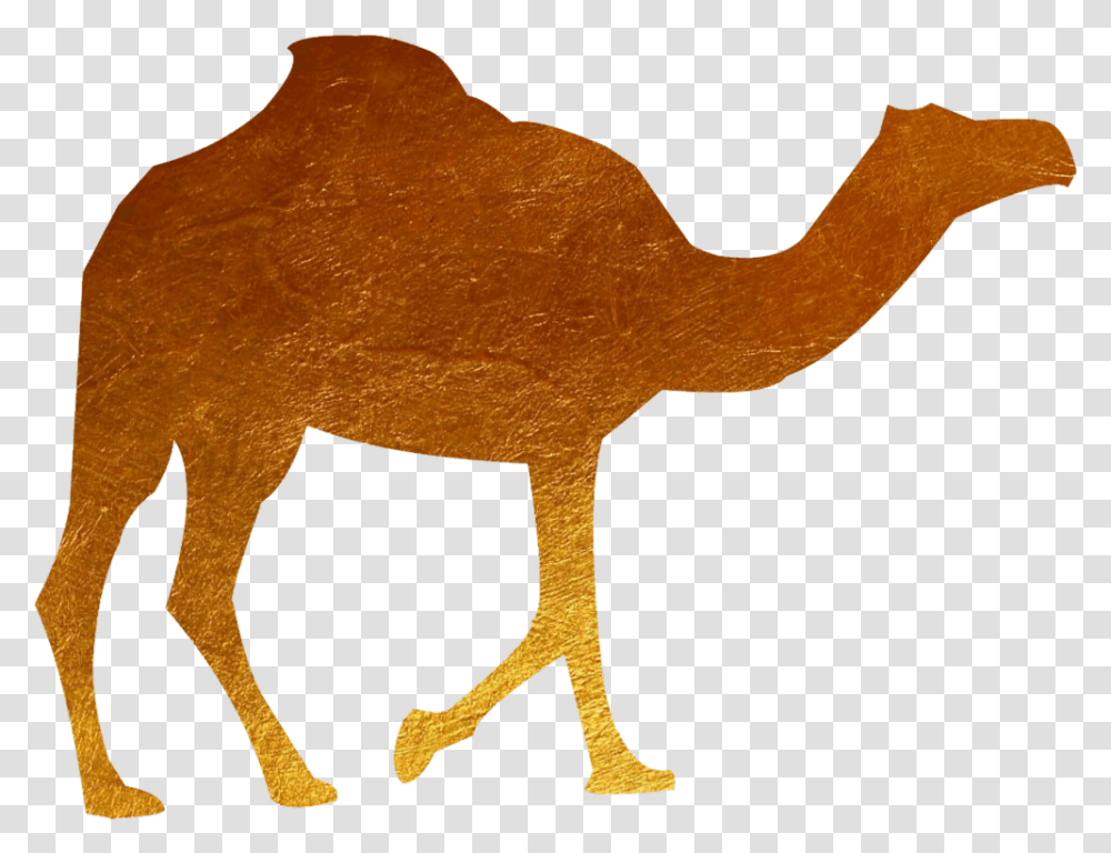 Download Animal Camel Gold Camel Image With No Clipart Black Camel, Mammal, Axe, Tool, Giraffe Transparent Png