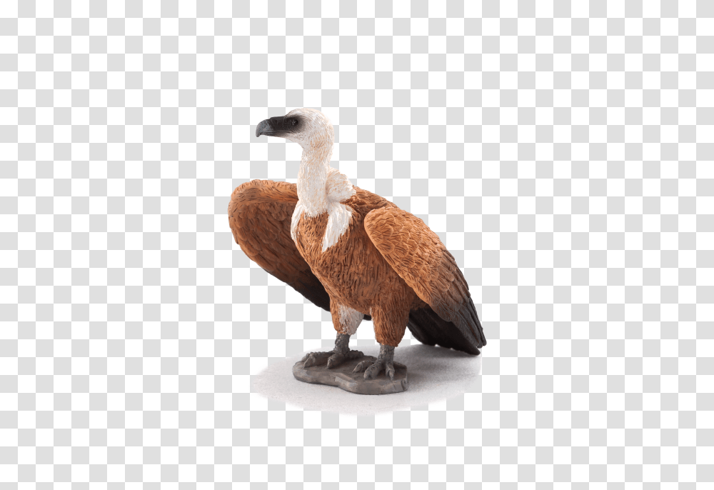 Download Animal Planet Griffon Vulture Image With No Schleich Vulture, Bird, Condor, Beak, Figurine Transparent Png