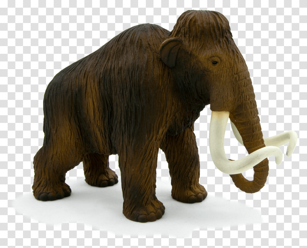 Download Animal Planet Wooly Mammoth Full Size Image Mojo Woolly Mammoth Transparent Png