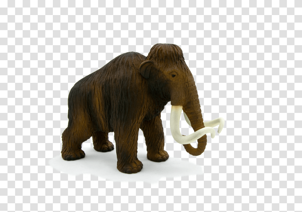 Download Animal Planet Wooly Mammoth Image With No Woolly Mammoth Background Transparent Png